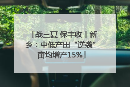 战三夏 保丰收丨新乡：中低产田“逆袭” 亩均增产15%