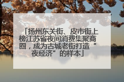 扬州东关街、皮市街上榜江苏省夜间消费集聚商圈，成为古城老街打造“夜经济”的样本