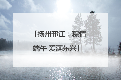扬州邗江：粽情端午 爱满东兴