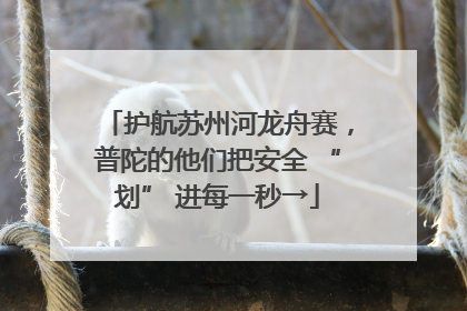 护航苏州河龙舟赛，普陀的他们把安全 “划” 进每一秒→