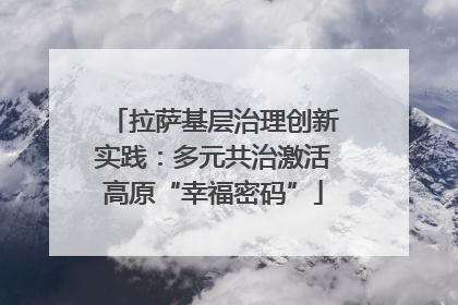 拉萨基层治理创新实践：多元共治激活高原“幸福密码”