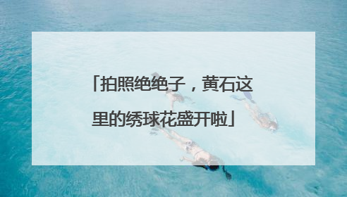 拍照绝绝子，黄石这里的绣球花盛开啦