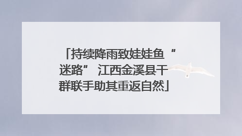 持续降雨致娃娃鱼“迷路” 江西金溪县干群联手助其重返自然