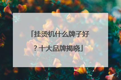 挂烫机什么牌子好？十大品牌揭晓