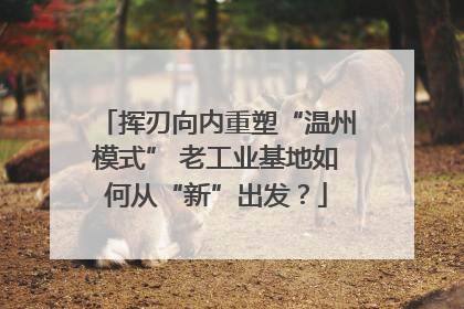 挥刃向内重塑“温州模式” 老工业基地如何从“新”出发？