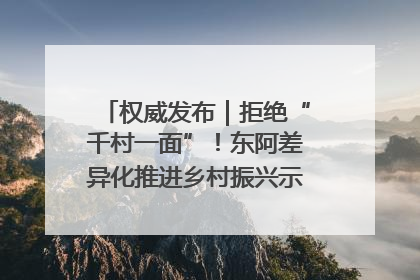 权威发布｜拒绝“千村一面”！东阿差异化推进乡村振兴示范片区建设