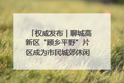 权威发布｜聊城高新区“顾乡平野”片区成为市民城郊休闲全新目的地