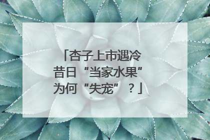 杏子上市遇冷 昔日“当家水果”为何“失宠”？