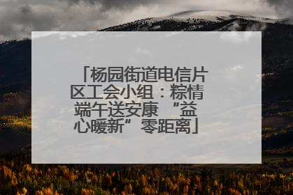 杨园街道电信片区工会小组：粽情端午送安康 “益心暖新”零距离
