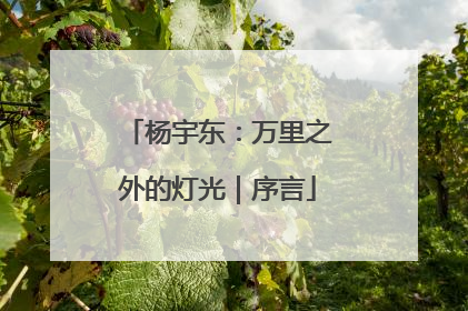 杨宇东：万里之外的灯光｜序言