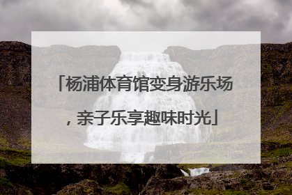 杨浦体育馆变身游乐场，亲子乐享趣味时光