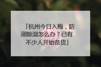 杭州今日入梅，防潮除湿怎么办？已有不少人开始备货