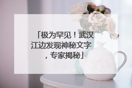 极为罕见！武汉江边发现神秘文字，专家揭秘