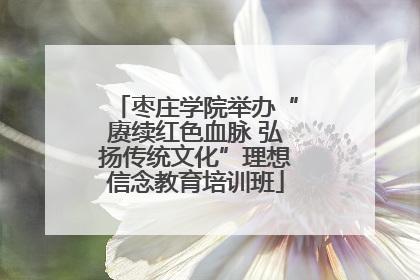 枣庄学院举办“赓续红色血脉 弘扬传统文化”理想信念教育培训班