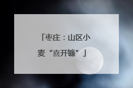枣庄：山区小麦“喜开镰”