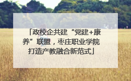 政校企共建“党建+康养”联盟，枣庄职业学院打造产教融合新范式