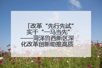 改革“先行先试” 实干“一马当先”——菏泽鲁西新区深化改革创新助推高质量发展纪实