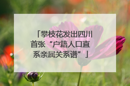攀枝花发出四川首张“户籍人口直系亲属关系谱”