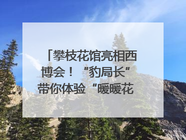 攀枝花馆亮相西博会！“豹局长”带你体验“暖暖花城”独特魅力｜西博视界