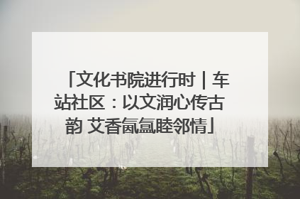 文化书院进行时｜车站社区：以文润心传古韵 艾香氤氲睦邻情
