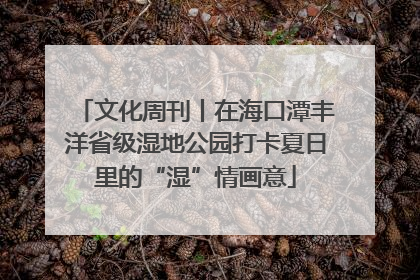 文化周刊丨在海口潭丰洋省级湿地公园打卡夏日里的“湿”情画意
