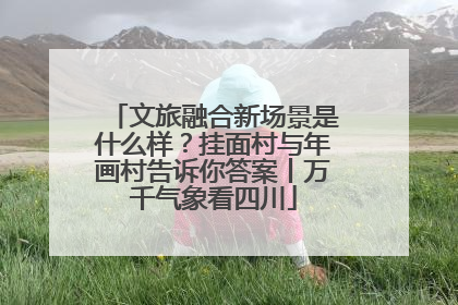 文旅融合新场景是什么样？挂面村与年画村告诉你答案丨万千气象看四川