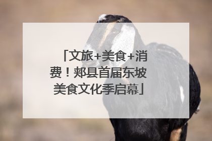 文旅+美食+消费！郏县首届东坡美食文化季启幕