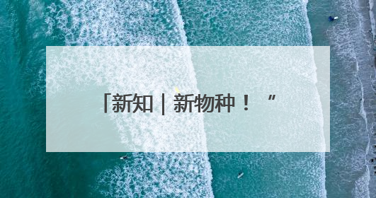 新知｜新物种！“天宫”里惊现“太空六边形战士”