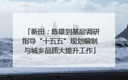 新田：陈雄到基层调研指导“十五五”规划编制与城乡品质大提升工作