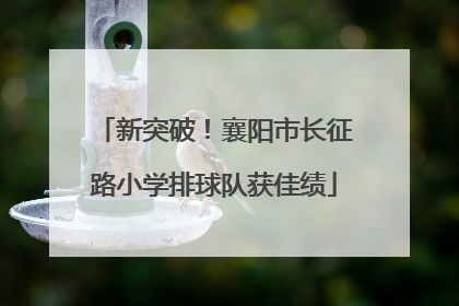 新突破！襄阳市长征路小学排球队获佳绩