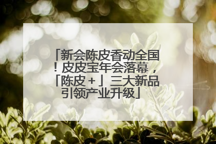 新会陈皮香动全国！皮皮宝年会落幕，「陈皮＋」三大新品引领产业升级