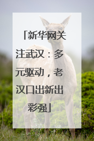 新华网关注武汉：多元驱动，老汉口出新出彩强