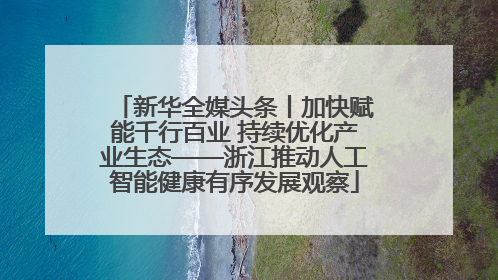 新华全媒头条丨加快赋能千行百业 持续优化产业生态——浙江推动人工智能健康有序发展观察