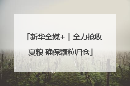新华全媒+｜全力抢收夏粮 确保颗粒归仓