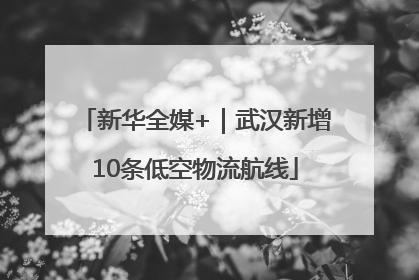 新华全媒+｜武汉新增10条低空物流航线