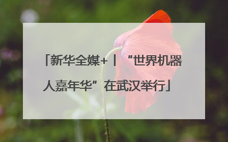 新华全媒+丨“世界机器人嘉年华”在武汉举行
