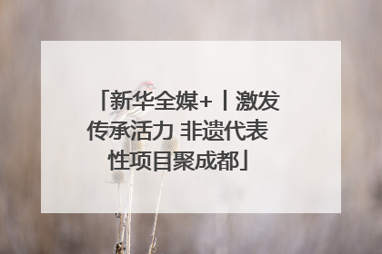 新华全媒+丨激发传承活力 非遗代表性项目聚成都