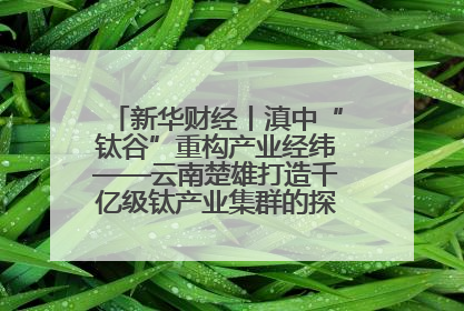 新华财经丨滇中“钛谷”重构产业经纬——云南楚雄打造千亿级钛产业集群的探索与实践