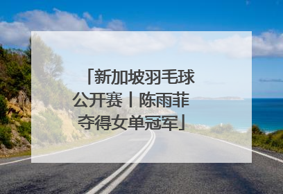 新加坡羽毛球公开赛丨陈雨菲夺得女单冠军