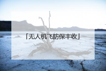 无人机飞防保丰收