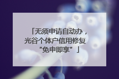 无须申请自动办，光谷个体户信用修复“免申即享”