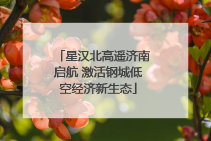 星汉北高遥济南启航 激活钢城低空经济新生态