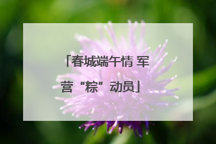 春城端午情 军营“粽”动员