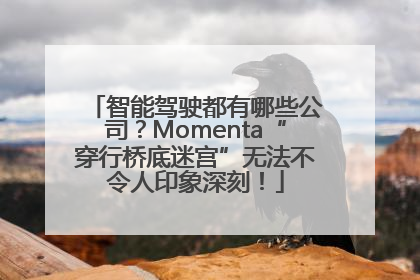 智能驾驶都有哪些公司？Momenta“穿行桥底迷宫”无法不令人印象深刻！