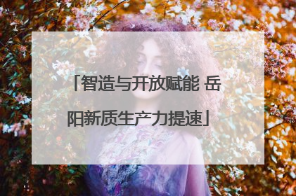 智造与开放赋能 岳阳新质生产力提速