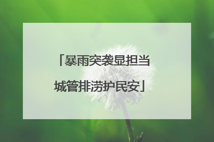 暴雨突袭显担当 城管排涝护民安