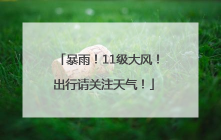 暴雨！11级大风！出行请关注天气！