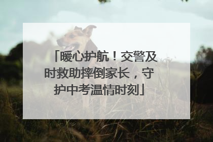 暖心护航！交警及时救助摔倒家长，守护中考温情时刻