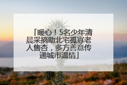 暖心！5名少年清晨采摘助北宅孤寡老人售杏，多方善意传递城市温情