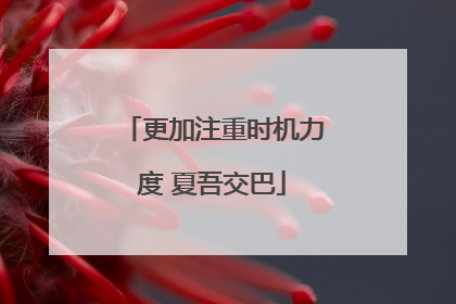 更加注重时机力度 夏吾交巴
